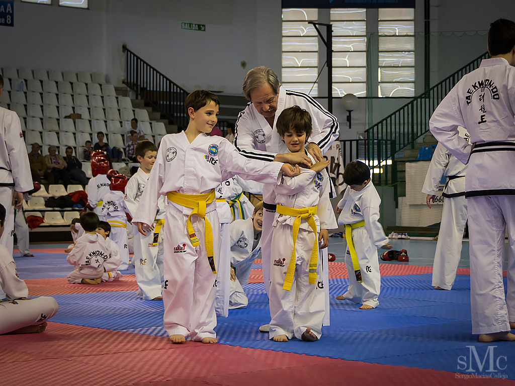 DIA DEL TAEKWONDO ABRIL 2017_3753.JPG